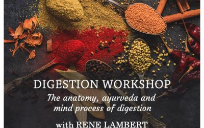 Digestion workshop